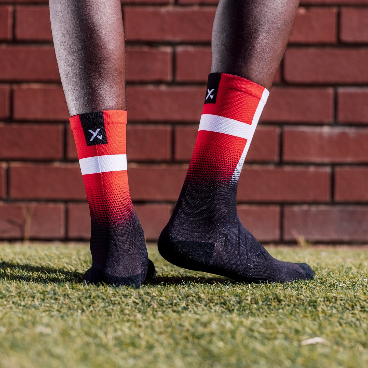 Denmark Flag Crew Socks