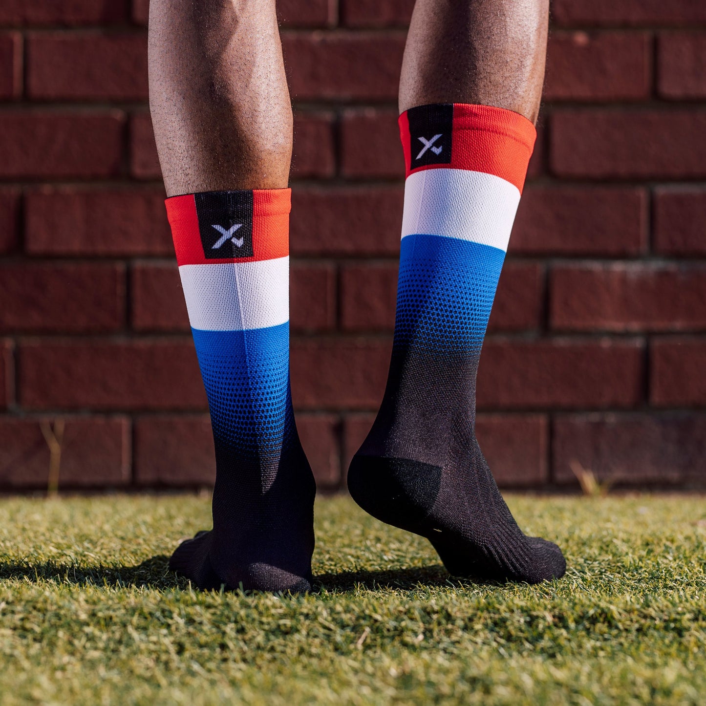 Netherlands Flag Crew Socks