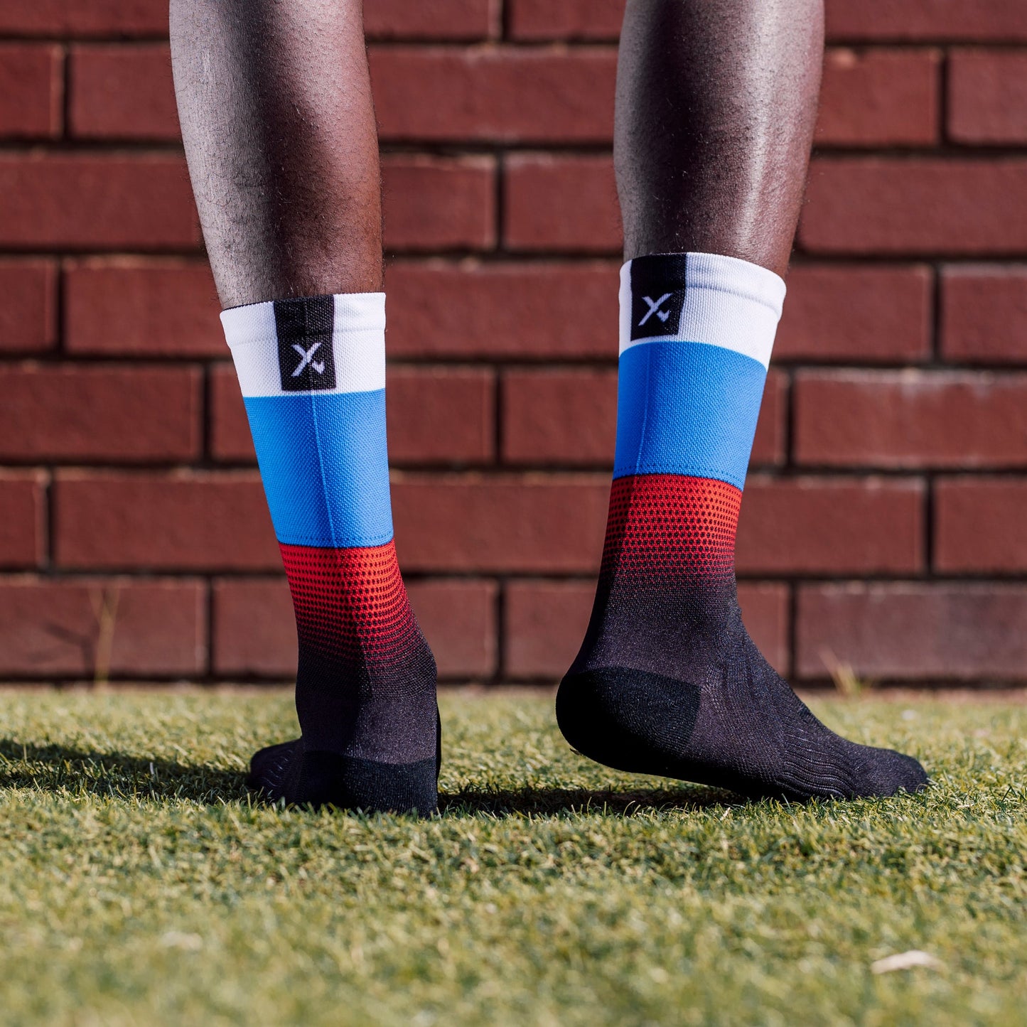 Slovenia Flag Crew Socks