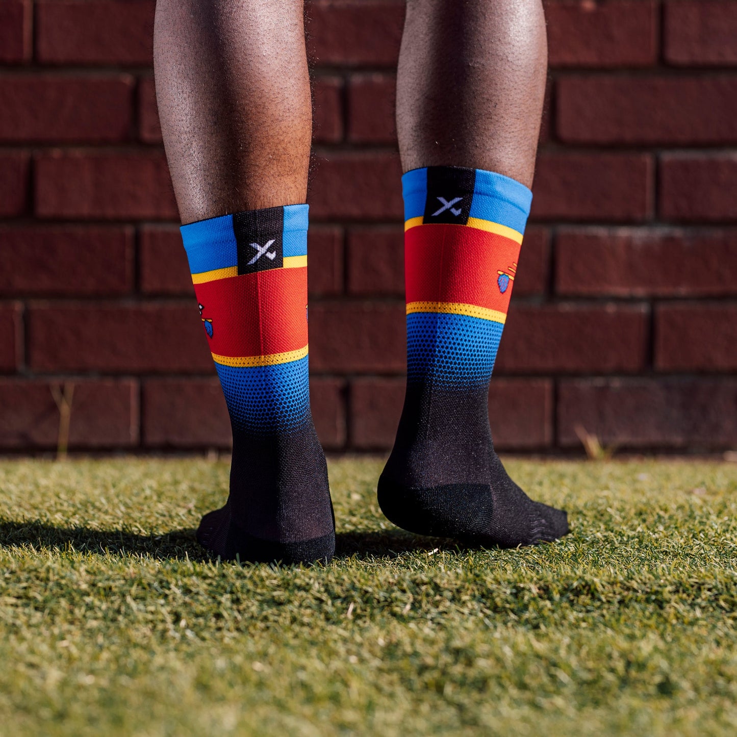 Swaziland Flag Crew Socks