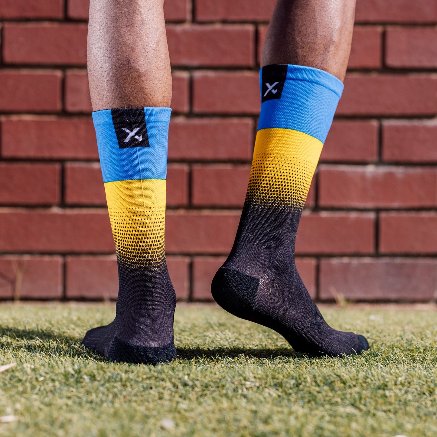 Ukraine Flag Crew Socks
