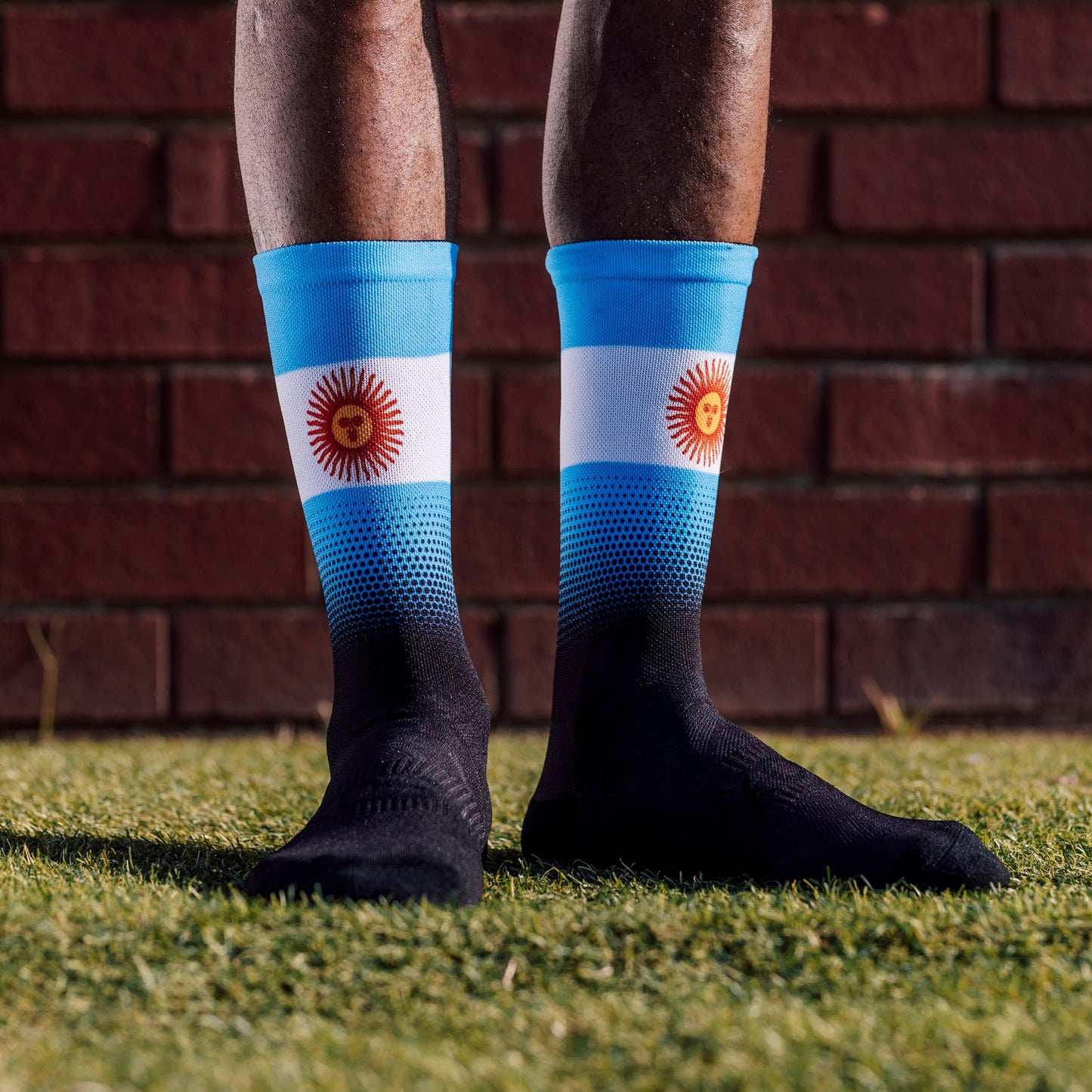Argentina Flag Crew Socks
