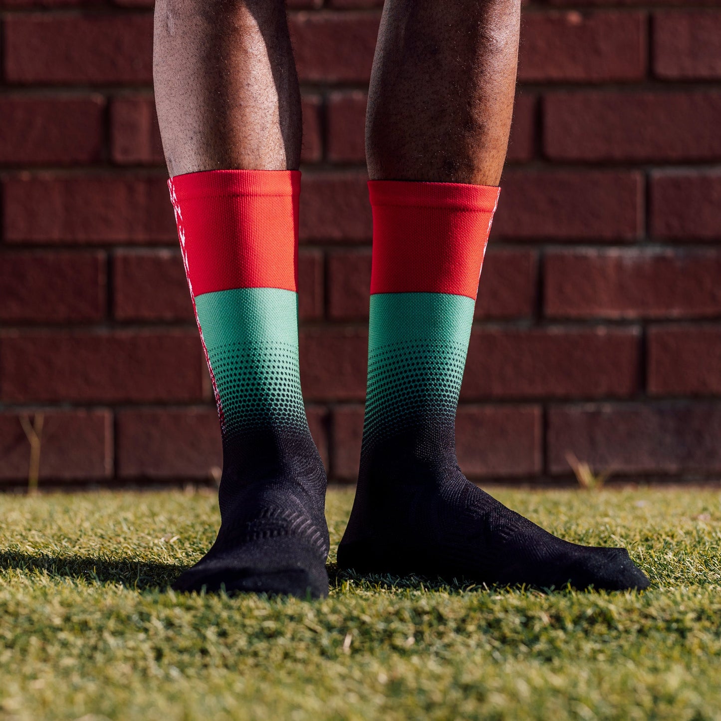 Belarus Flag Crew Socks
