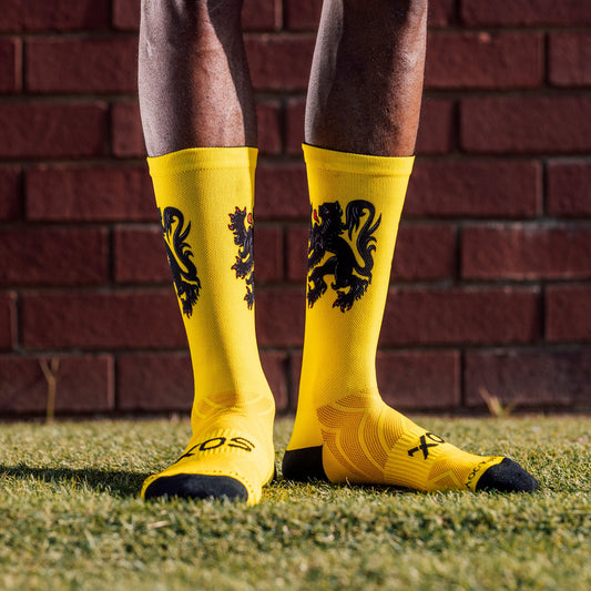 Flemish Lion Flag Crew Socks