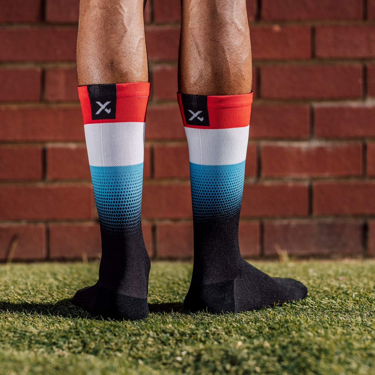 Luxembourg Flag Crew Socks