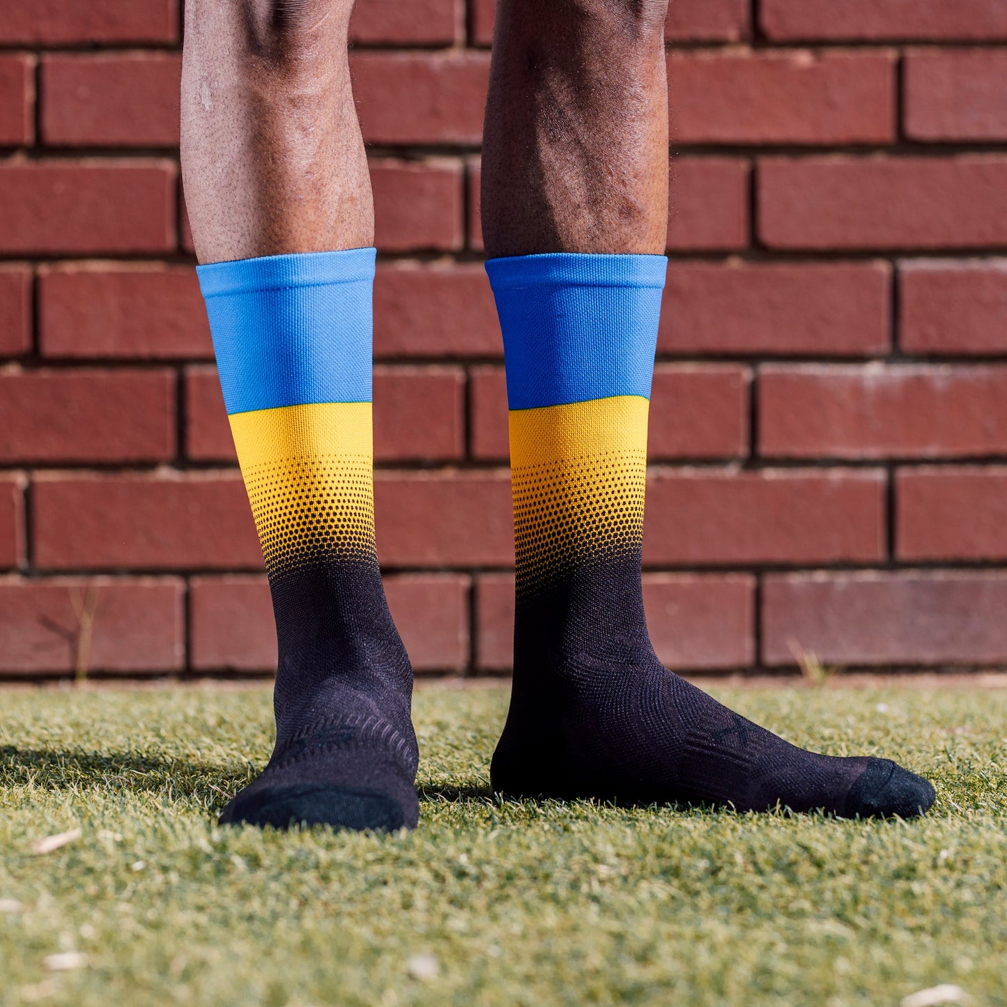Ukraine Flag Crew Socks