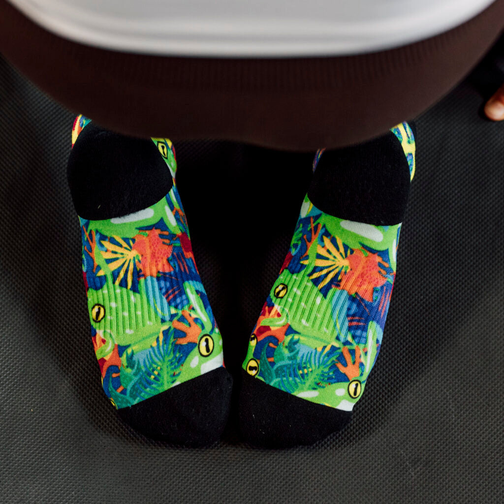 Birds and Frogs Tab Combo Socks