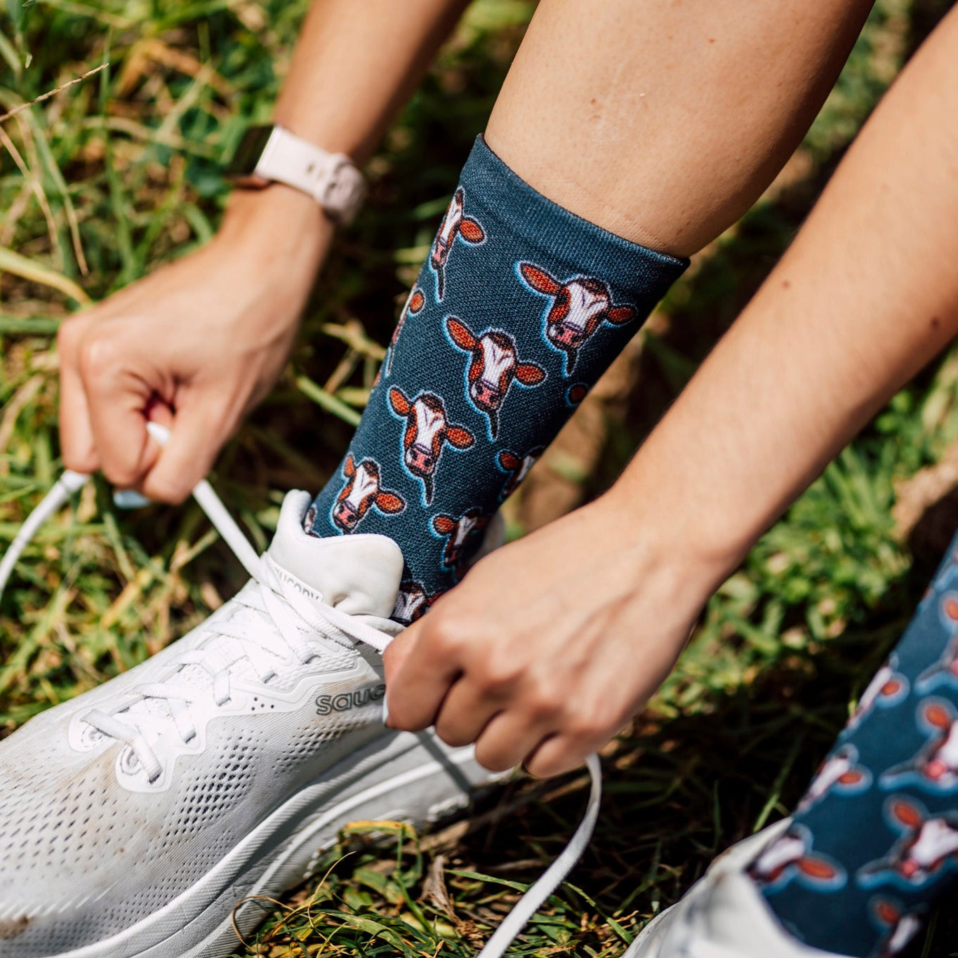 Cows Casual Crew Socks