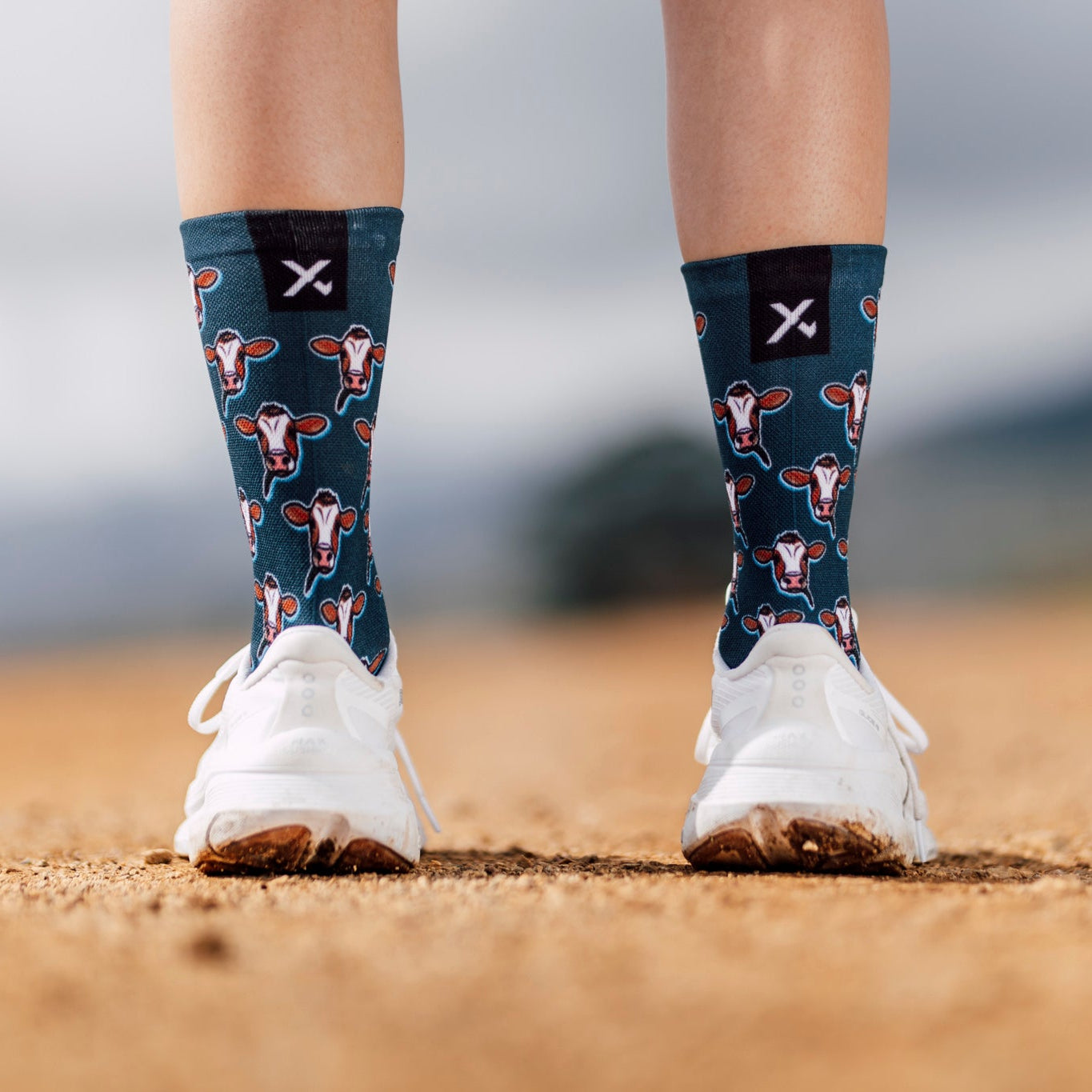 Cows Casual Crew Socks