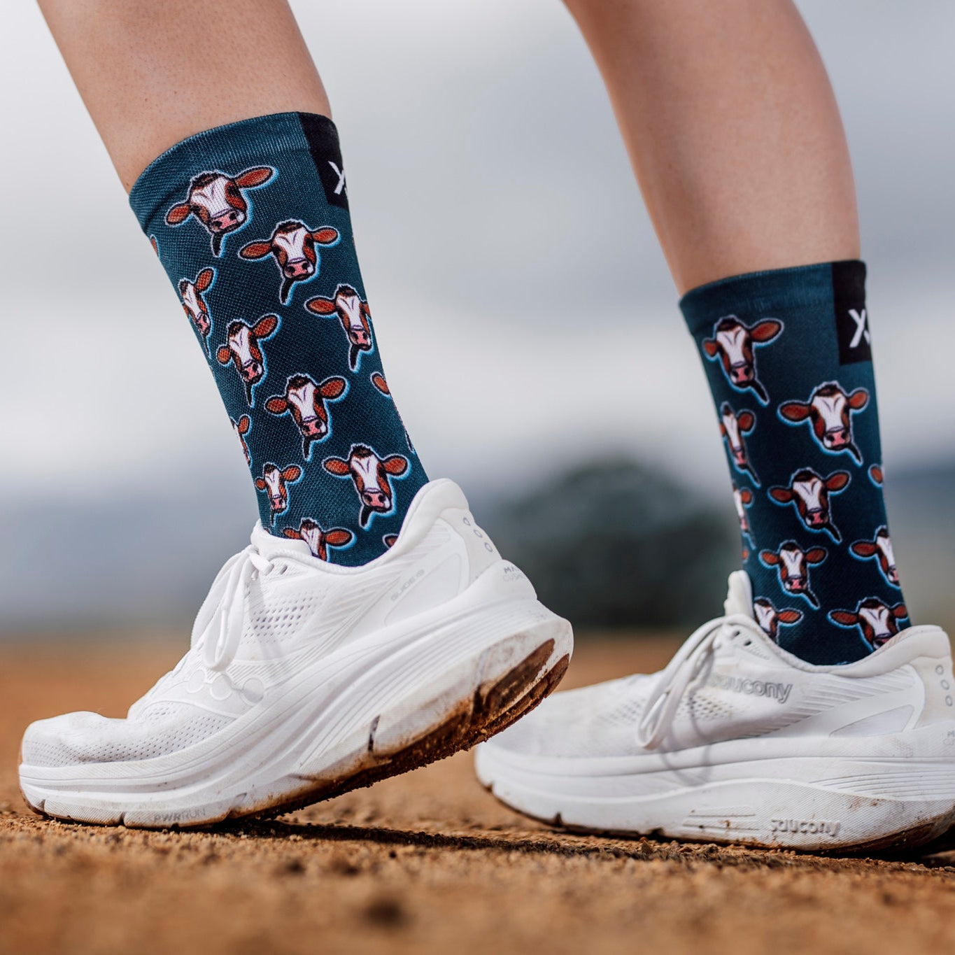 Cows Casual Crew Socks