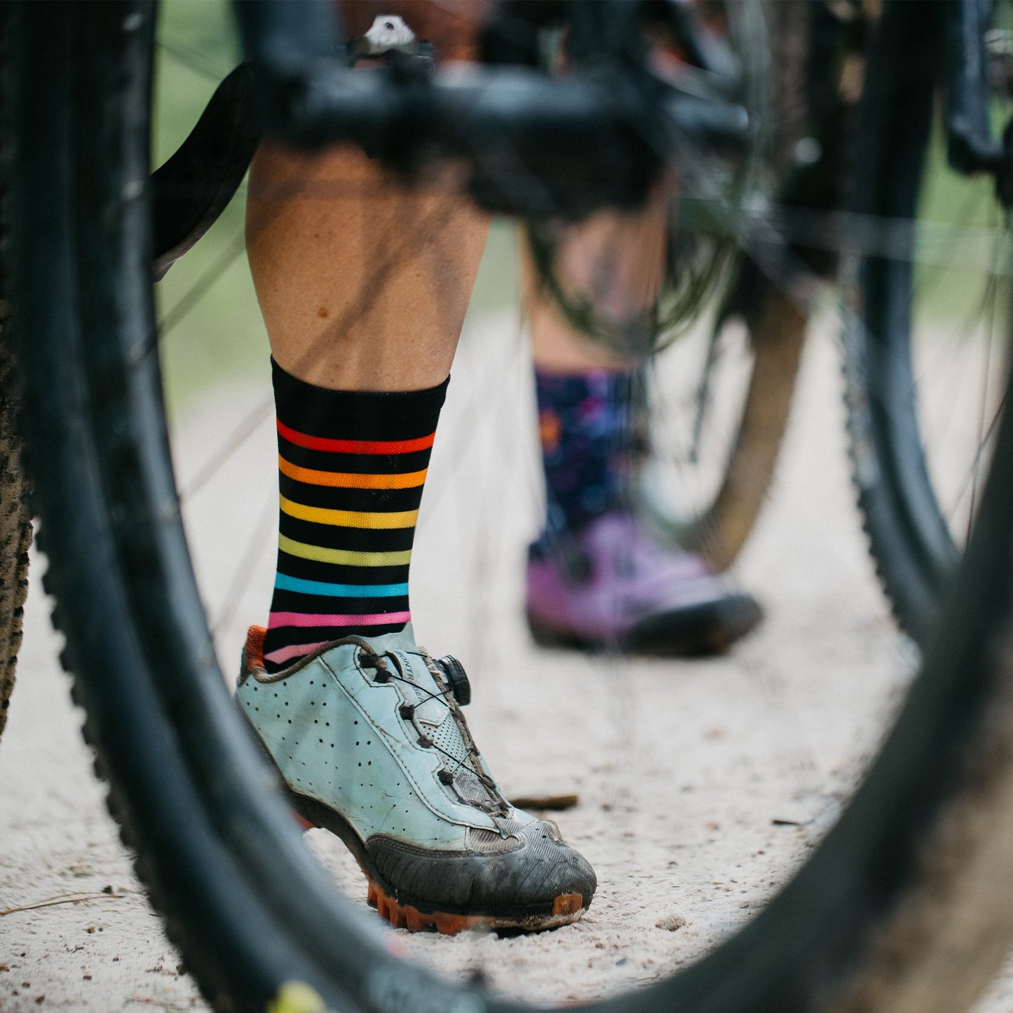 Rainbow Casual Crew Socks